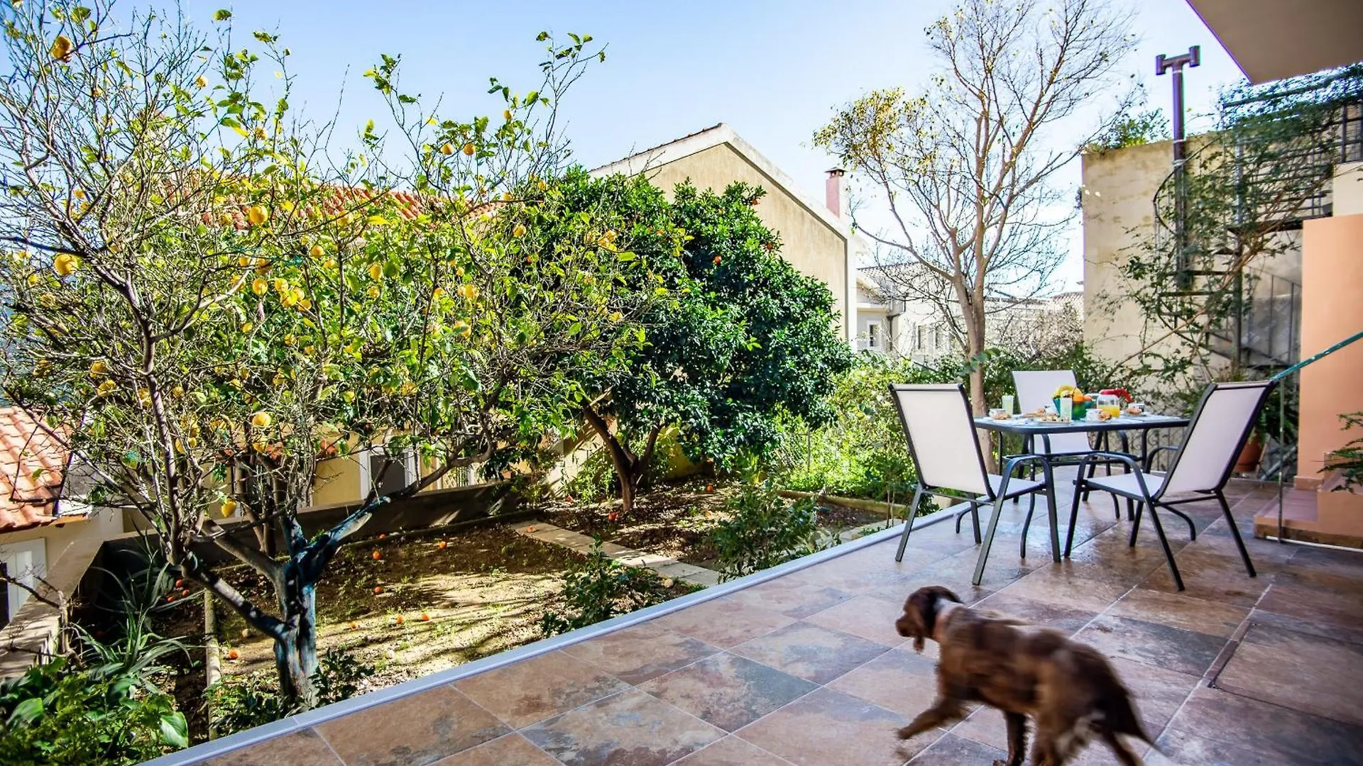 Casa Giardino Apartment Argostoli   Argostoli (Kefalonia)