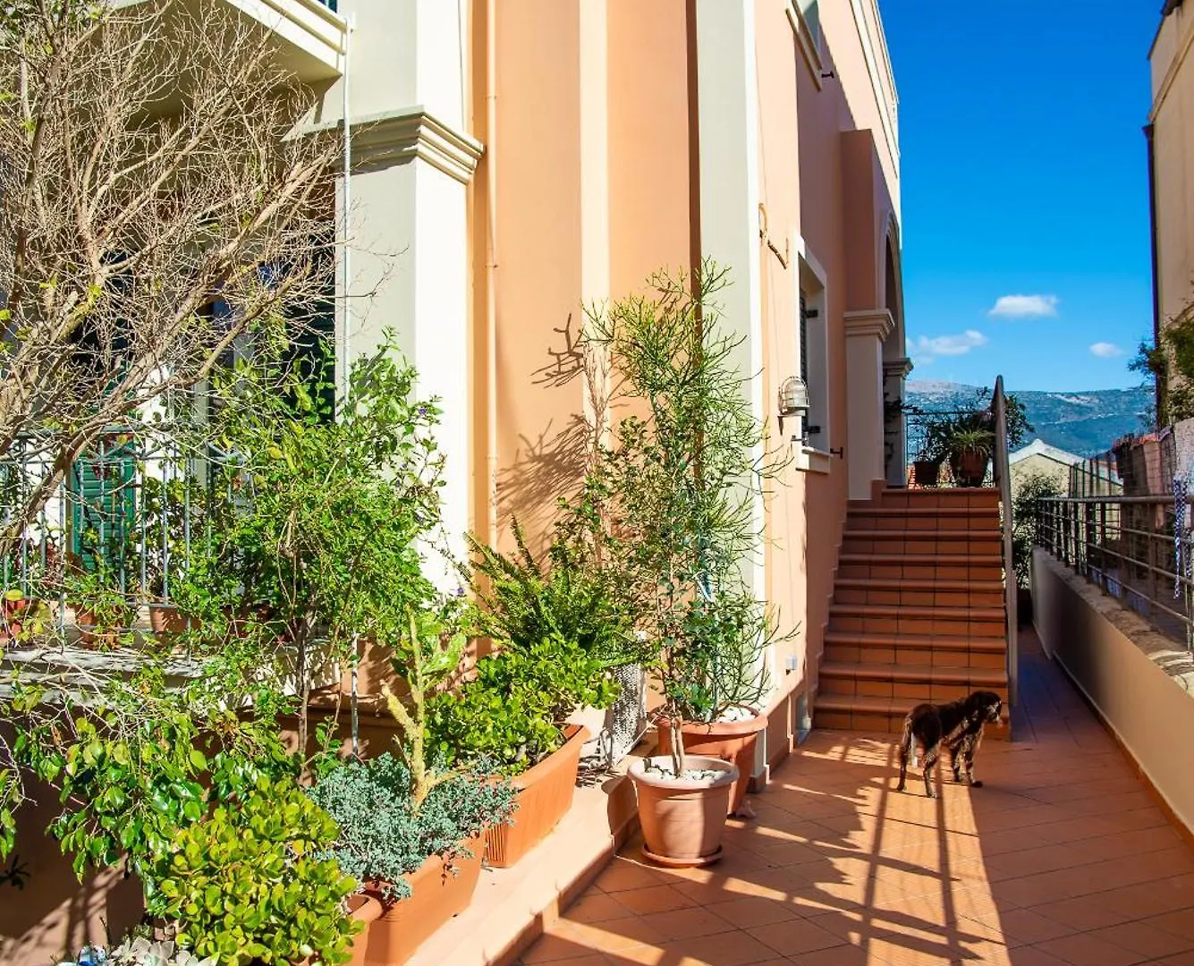 Casa Giardino Apartment Argostoli